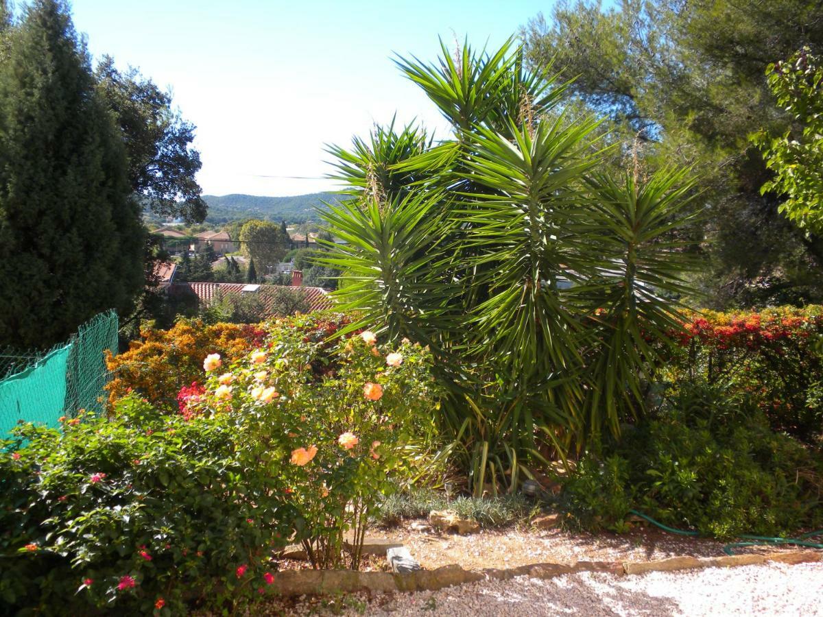 Ecrin de verdure sur Le Lavandou - Classement Tourisme 3 Etoiles Extérieur photo